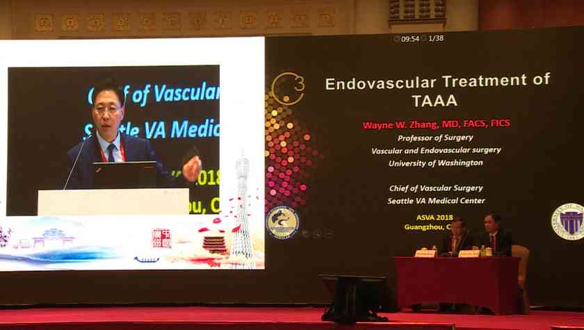 Wayne W.Zhang：Endocascular Treatment of TAAA